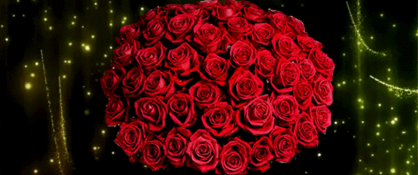 https://upforme.ru/uploads/000a/88/b5/2/925985.gif