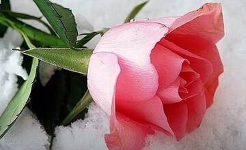 https://upforme.ru/uploads/000a/c0/f0/377/t122391.jpg