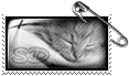https://upforme.ru/uploads/000a/c9/f5/49459-2.png