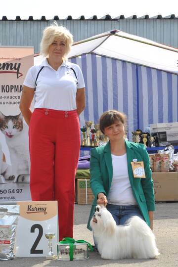 https://upforme.ru/uploads/000a/dd/f3/2/t723568.jpg