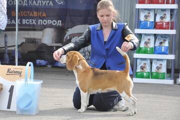 https://upforme.ru/uploads/000a/dd/f3/2/t817761.jpg