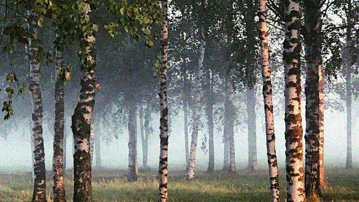 https://upforme.ru/uploads/000a/de/50/1980/227303.jpg