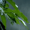 https://upforme.ru/uploads/000a/de/50/1980/834527.gif