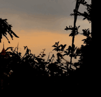 https://upforme.ru/uploads/000a/de/50/1980/t461669.gif