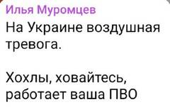 https://upforme.ru/uploads/000a/e3/16/1442/t231909.jpg