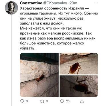 https://upforme.ru/uploads/000a/e3/16/1442/t302109.jpg