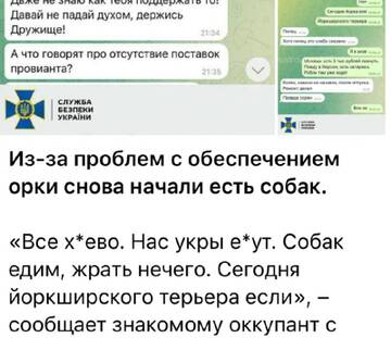 https://upforme.ru/uploads/000a/e3/16/1442/t59180.jpg
