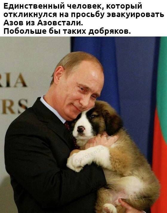 https://upforme.ru/uploads/000a/e3/16/1442/t632384.jpg