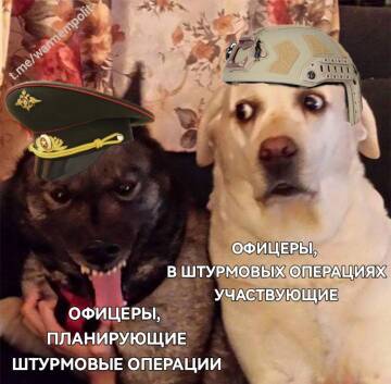 https://upforme.ru/uploads/000a/e3/16/1834/t599316.jpg