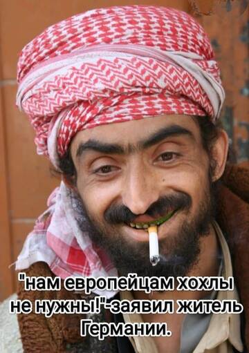 https://upforme.ru/uploads/000a/e3/16/2981/t731020.jpg