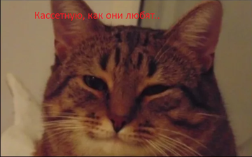 https://upforme.ru/uploads/000a/e3/16/4695/t290025.png