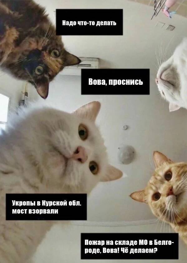 https://upforme.ru/uploads/000a/e3/16/4965/t992894.jpg