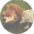 https://upforme.ru/uploads/000a/e4/c8/3873-4.gif