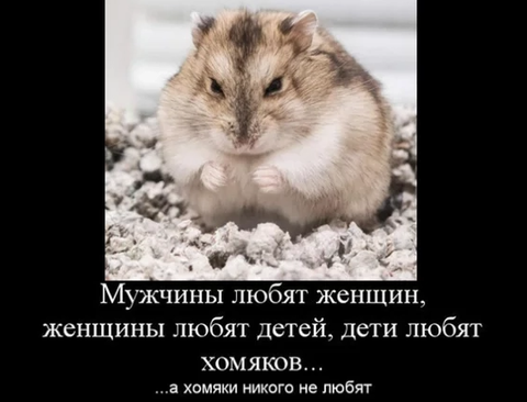 https://upforme.ru/uploads/000b/09/4f/26998/t132533.png