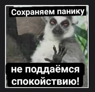 https://upforme.ru/uploads/000b/09/4f/26998/t312592.jpg