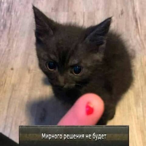 https://upforme.ru/uploads/000b/09/4f/26998/t330951.jpg