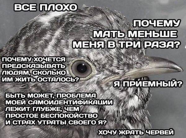 https://upforme.ru/uploads/000b/09/4f/26998/t426756.jpg