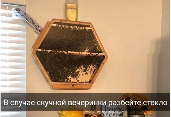 https://upforme.ru/uploads/000b/09/4f/26998/t546547.png