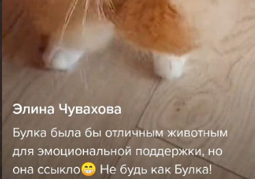 https://upforme.ru/uploads/000b/09/4f/26998/t753467.png