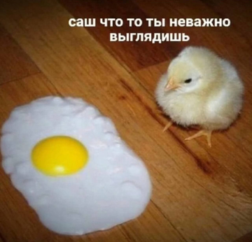 https://upforme.ru/uploads/000b/09/4f/26998/t849540.png