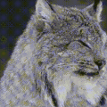 https://upforme.ru/uploads/000b/09/4f/27875/t343803.gif
