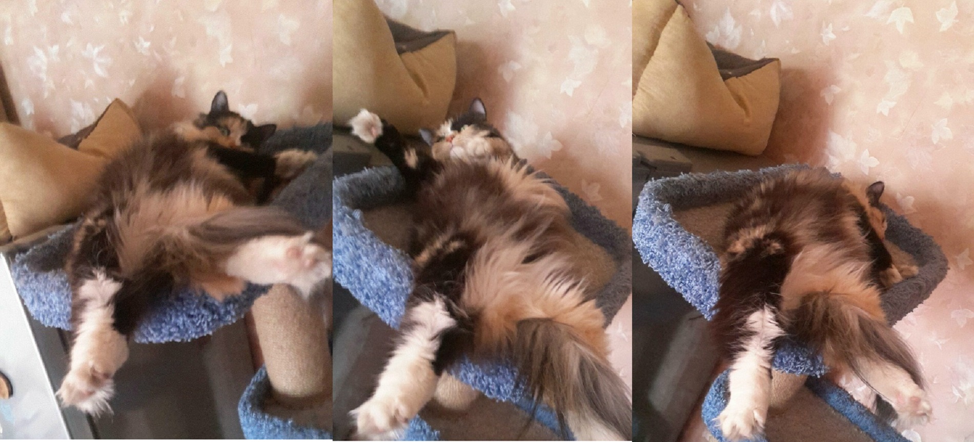 Бар Канистра - обслуживаем быстро ! ( Бар. Часть 2.) Бар Канистра - обслуживаем быстро ! ( Бар. Часть 2.)