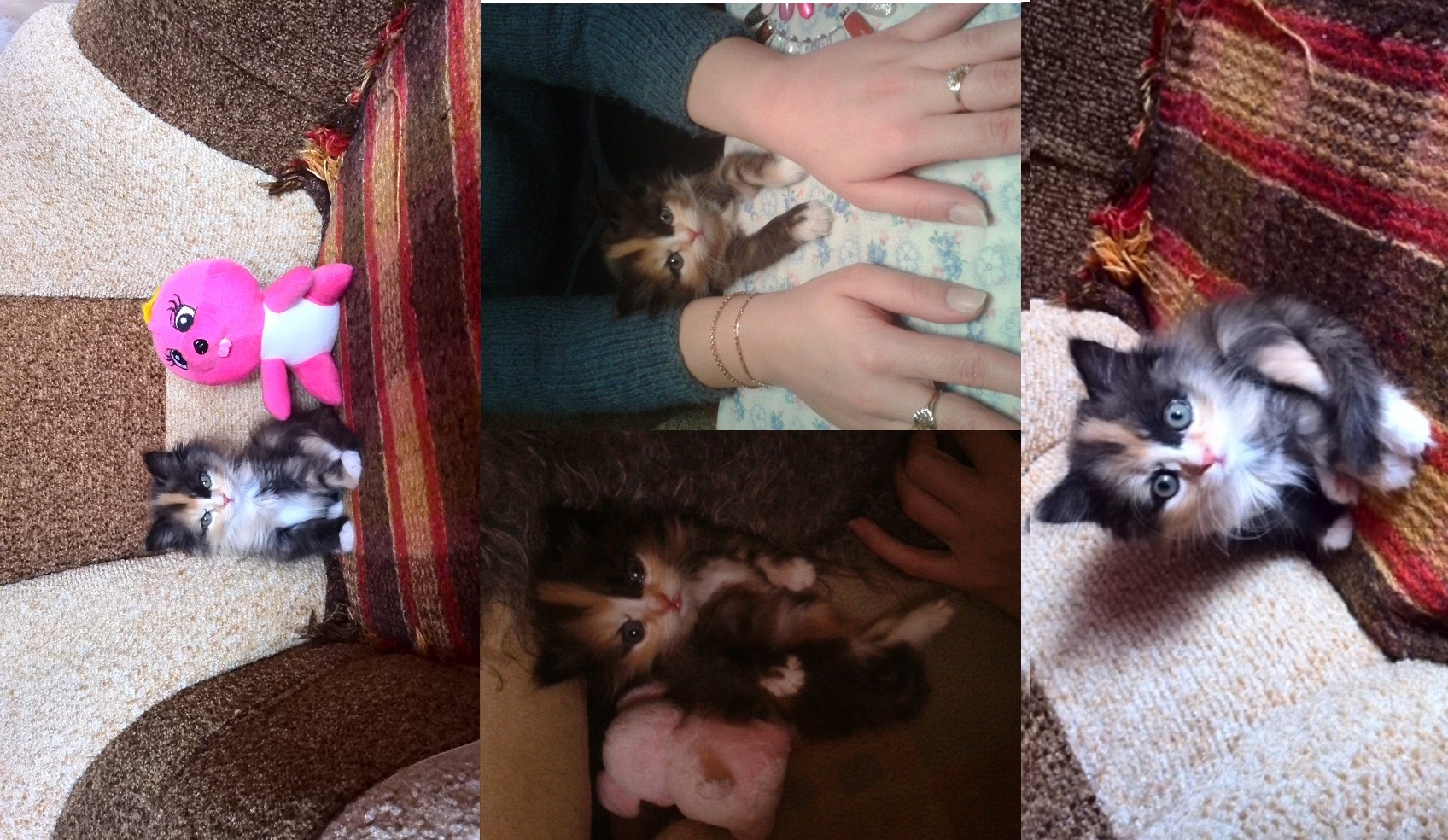 Бар Канистра - обслуживаем быстро ! ( Бар. Часть 2.) Бар Канистра - обслуживаем быстро ! ( Бар. Часть 2.)