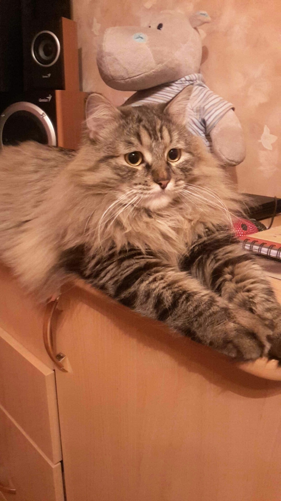 Бар Канистра - обслуживаем быстро ! ( Бар. Часть 2.) Бар Канистра - обслуживаем быстро ! ( Бар. Часть 2.)