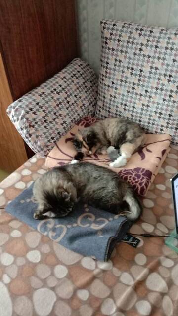 Бар Канистра - обслуживаем быстро ! ( Бар. Часть 2.) Бар Канистра - обслуживаем быстро ! ( Бар. Часть 2.)