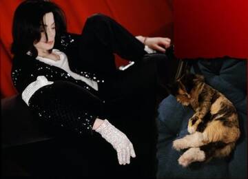 Бар Канистра - обслуживаем быстро ! ( Бар. Часть 2.) Бар Канистра - обслуживаем быстро ! ( Бар. Часть 2.)