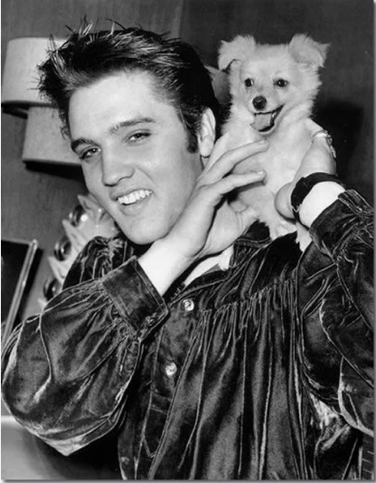 ��� �������� - ����������� ������ ! ( ���. ����� 2.)