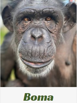 ��� ������! ( ����� 4.)