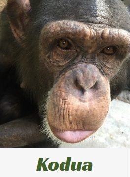 ��� ������! ( ����� 4.)