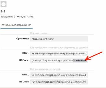 https://upforme.ru/uploads/000b/27/15/1871/t991364.jpg