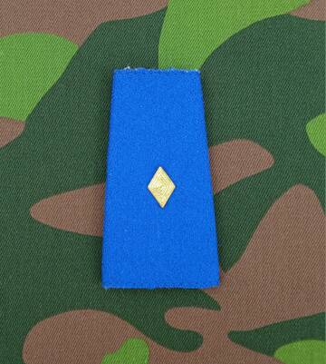 https://upforme.ru/uploads/000b/27/15/3170/t823398.jpg