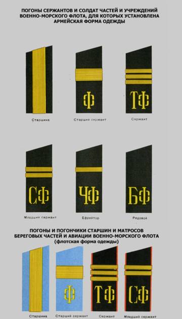 https://upforme.ru/uploads/000b/27/15/483/t220517.jpg