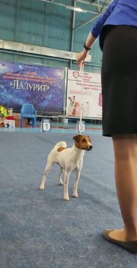 https://upforme.ru/uploads/000b/2b/2f/3515/t150929.jpg