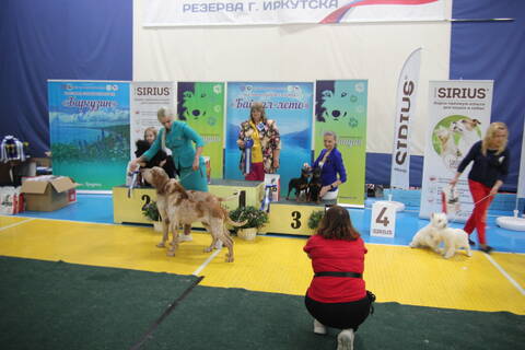 https://upforme.ru/uploads/000b/2b/2f/3515/t196250.jpg