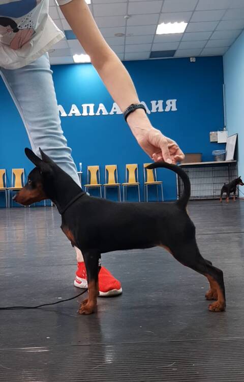 https://upforme.ru/uploads/000b/2b/2f/3515/t473284.jpg