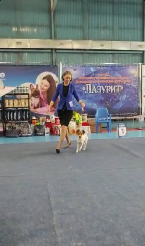 https://upforme.ru/uploads/000b/2b/2f/3515/t741514.jpg