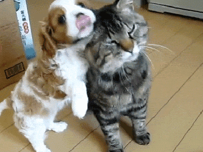 https://upforme.ru/uploads/000b/57/83/1229/t853941.gif