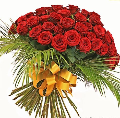 https://upforme.ru/uploads/000b/6a/de/260062-2-f.jpg