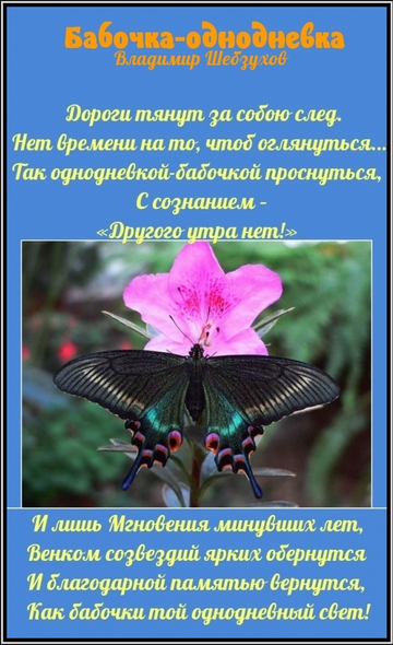 https://upforme.ru/uploads/000b/6b/e9/13/t100236.png
