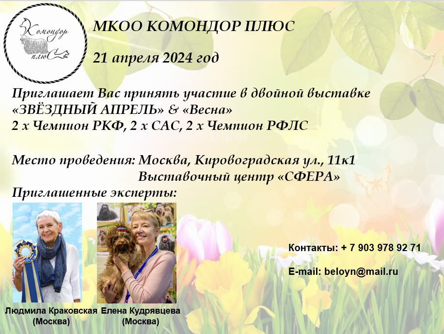 https://upforme.ru/uploads/000b/7f/58/29/631448.png