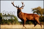 https://upforme.ru/uploads/000b/ad/25/5279/t412078.jpg