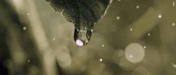 https://upforme.ru/uploads/000b/ad/25/5677/14554.gif
