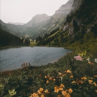 https://upforme.ru/uploads/000b/ad/25/5677/912360.jpg