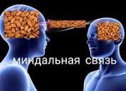 https://upforme.ru/uploads/000b/ad/25/5677/t216419.jpg