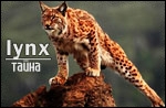 https://upforme.ru/uploads/000b/ad/25/6734/12079.jpg