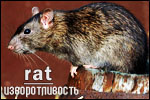 https://upforme.ru/uploads/000b/ad/25/6734/62237.jpg